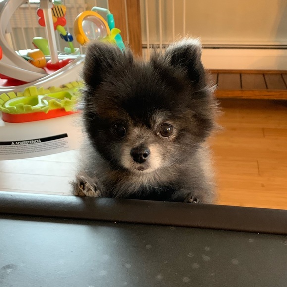 Welcome To My Closet - Picture 8 of 16